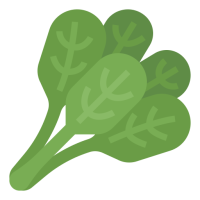 Spinach Dried