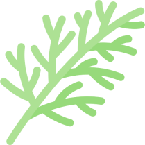 Dill Dried