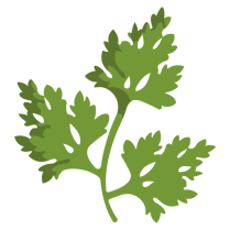 Parsley Dried