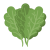 Kale Dried
