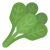 Spinach Dried