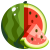 Watermelon Crispy