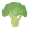 Broccoli Dried
