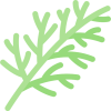 Dill Dried