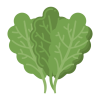 Kale Dried