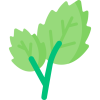 Mint Dried