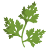 Parsley Dried