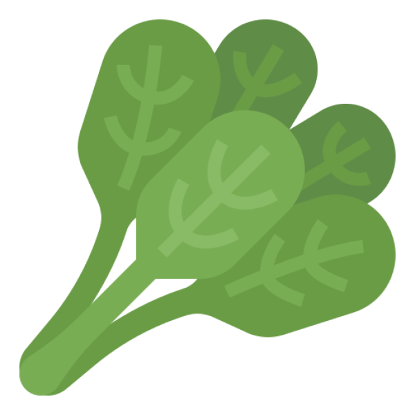 Spinach Dried